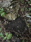 IMG_0650.jpeg