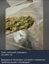 1743958652653.png