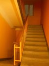 IMG_2826.jpeg