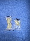 IMG_9072.jpeg