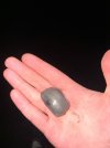 IMG_8190.jpeg