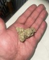 IMG_7172.jpeg