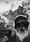 IMG_0474.jpeg