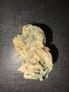 IMG_0671.jpeg