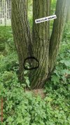 IMG_0152.jpeg