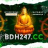 BDH247.SHOP SUPPORT