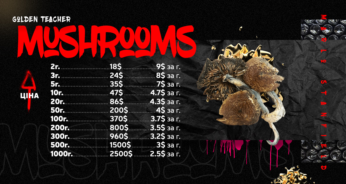 8_Mushrooms_Golden-Teacher.jpg